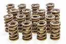 ISKY CAMS 1.530 Valve Springs 8205 PLUS