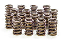 ISKY CAMS 1.530in Valve Springs 9005