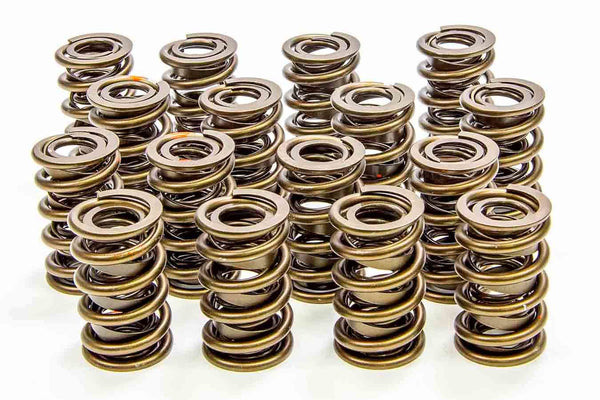 ISKY CAMS 1.560in Valve Springs 9365PLUS