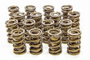 ISKY CAMS 1.570 Valve Springs 9995RAD