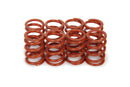 ISKY CAMS 1.095 Valve Spring Set Outer (8pk) VWE005