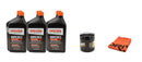 DRIVEN RACING OIL 5W30 Oil Change Kit 97-06 GM LS Engine 20600K