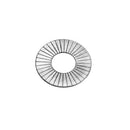 MANLEY Valve Spring Shims 1.625in x .030in 03273-50