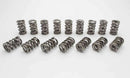 MANLEY 1.620 Dual Valve Springs - Polished 221445P-16