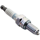 NGK NGK Spark Plug Stock