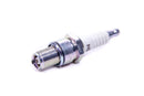 NGK Racing Plug