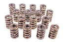 PAC RACING SPRINGS 1.244 Dual Valve Springs (16) PAC-1202-16