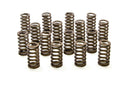 PAC RACING SPRINGS 1.061 Valve Springs - Ovate Beehive (16) PAC-1214-16