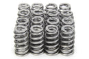 PAC RACING SPRINGS RPM Series Valve Springs - Beehive (16) PAC-1217X-16