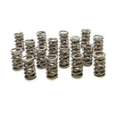 PAC RACING SPRINGS Dual Valve Springs - GM LS (16) PAC-1222X-16