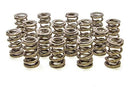 PAC RACING SPRINGS 1.625 Dual Valve Springs (16) PAC-1228-16