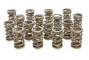 PAC RACING SPRINGS 1.550 Dual Valve Springs (16) PAC-1245-16