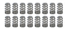 PAC RACING SPRINGS 1.445 Valve Springs - Ovate Beehive (16) PAC-1255X-16