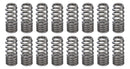 PAC RACING SPRINGS 1.031 RPM Series Valve Springs - Beehive (16) PAC-1281X-16