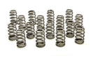 PAC RACING SPRINGS 1.589 Valve Springs - Ovate Beehive (16) PAC-1295X-16