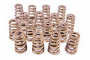 PAC RACING SPRINGS 1.454 Valve Springs - Ovate Beehive (16) PAC-1427-16