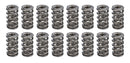 PAC RACING SPRINGS 1.284 Dual Valve Springs (16) PAC-1529-16
