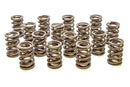 PAC RACING SPRINGS Valve Springs - HR Series (16) PAC-1905-16