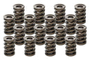 PAC RACING SPRINGS Valve Springs - HR Series (16) PAC-1940-16
