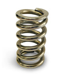 PROFORM Calibrated Test Spring Medium 50-450lbs BB1902