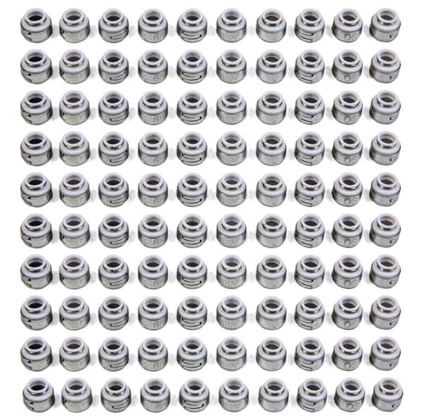 PIONEER Teflon Oil Seals - 11/32 (100) OS-1066-100
