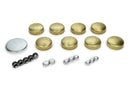 PIONEER 350 Chevy Freeze Plug Kit - Brass (Bag) PE-100-BR