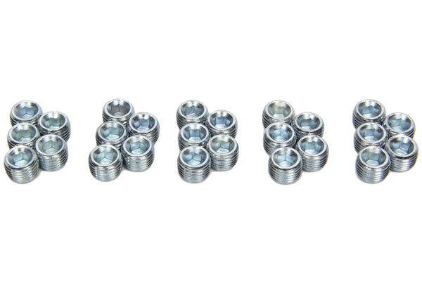 PIONEER 1/4-NPT Pipe Plugs 25pk w/Oil Relief Hole PP-454-25