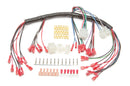 PAINLESS WIRING Dash Harness (Ele.Speedo 30302