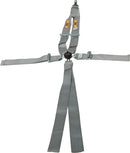 RCI Harness System 5/6pt P/D Camlock V-Type Platinum 9211CPL