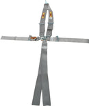 RCI Harness System 5/6pt P/D L/L V-Type Platinum 9211PL