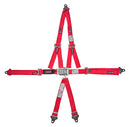 RJS SAFETY Harness L&L 2in P/D 1000104