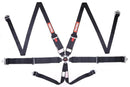 RACEQUIP 6pt Harness Camlock HNR Black SFI 747007RQP