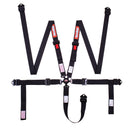 RACEQUIP Harness 5pt Cam 2in P/D Lap Black SFI 16.1 841001RQP