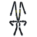 SCHROTH RACING 6pt Harness Profi 2x2 Pull-Up Lap sr 91152PU O-6