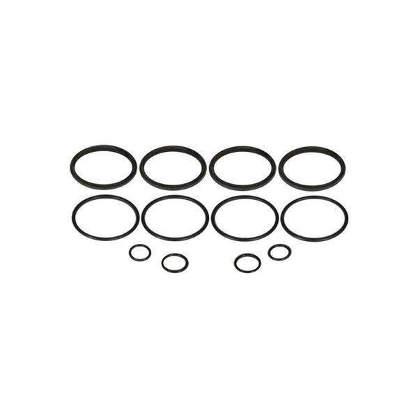 STRANGE O-Ring Kit - for Early Strange 4-Piston Caliper B5105