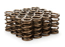 STRAUB TECHNOLOGIES INC. 1.290 Dual Valve Springs 16pk 110-1821