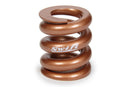SWIFT SPRINGS Bump Stop Spring 5000lb SBS5000