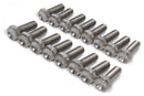 Ti22 PERFORMANCE Bead Lock Bolt Kit 16pcs Titanium 1in Long TIP1010