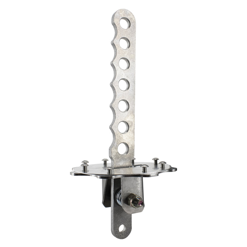 TRUE PERFORMANCE & FABRICATION Shifter Single Lever Bert / Brinn DTR4000