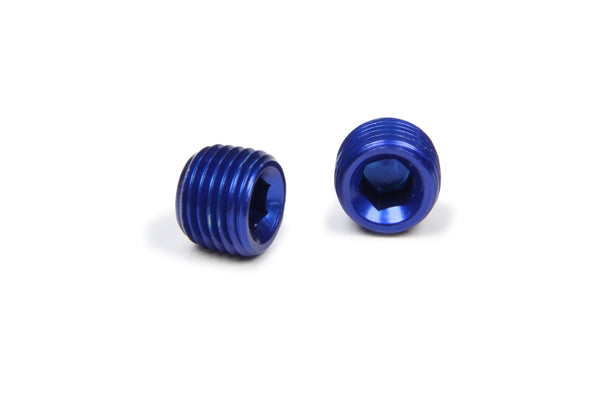 XRP-XTREME RACING PROD. 1/4in Allen Head Pipe Plug (2pk) 993203