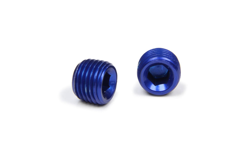 XRP-XTREME RACING PROD. 1/4in Allen Head Pipe Plug (2pk) 993203