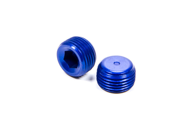 XRP-XTREME RACING PROD. 3/8in Male Pipe Plug (2pk) 993204